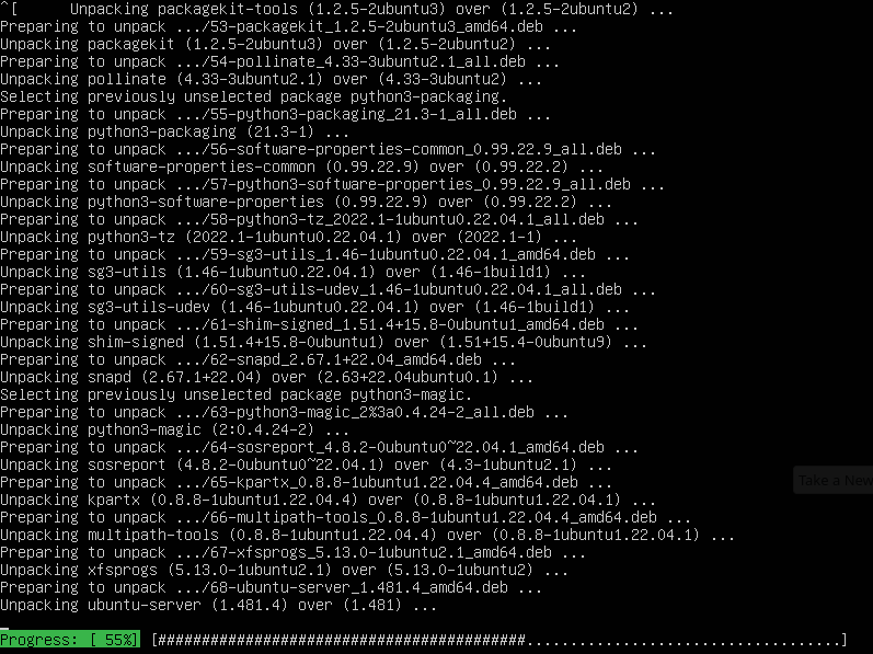 Screenshot terminal update dan upgrade paket di Linux