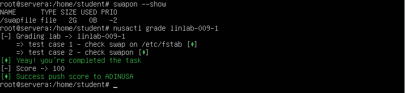 Screenshot terminal perintah swapon --show untuk cek swap aktif di Linux