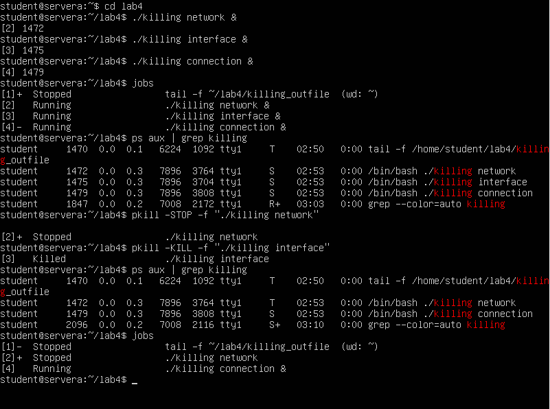 Screenshot terminal menjalankan skrip killing di Linux