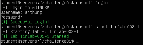 Screenshot terminal menjalankan perintah docker run dan inspect container redis di Linux