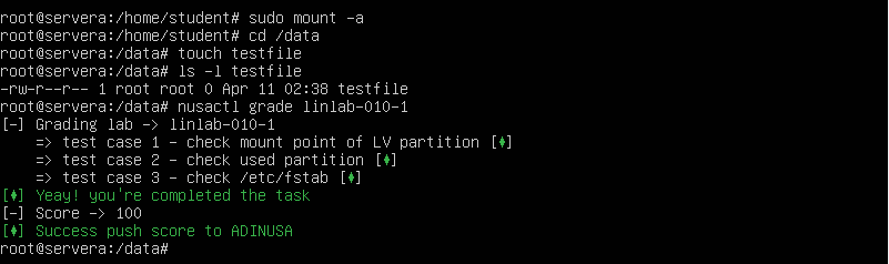 Screenshot terminal reload daemon systemd di Linux