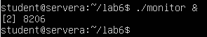 Screenshot terminal menjalankan skrip monitor di background di Linux