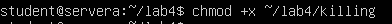 Screenshot terminal mengubah skrip menjadi executable dengan chmod di Linux